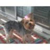 slf_11